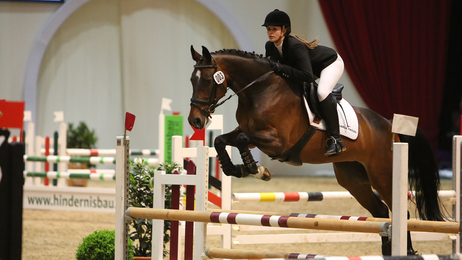 Show jumping at the HansePferd trade fair in the exhibition halls of Hamburg